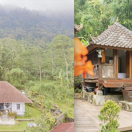 Four Monkeys House Villa Bedugul  Exterior photo