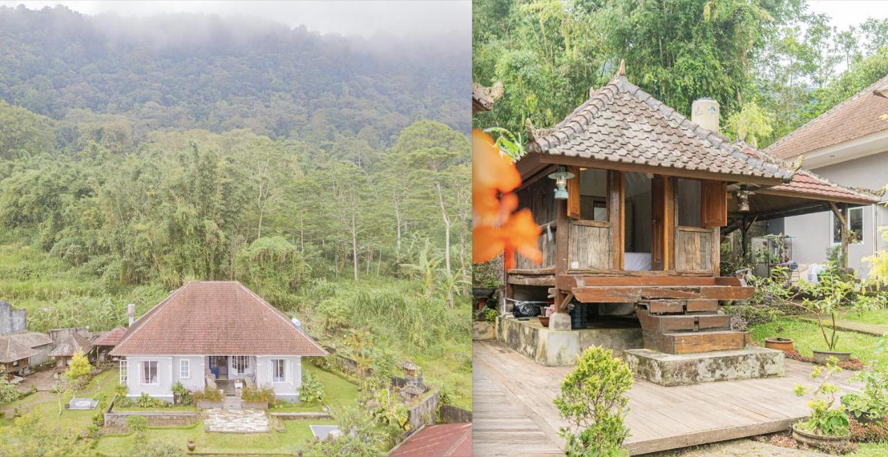 Four Monkeys House Villa Bedugul  Exterior photo