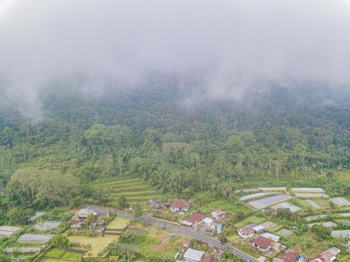 Four Monkeys House Villa Bedugul  Exterior photo